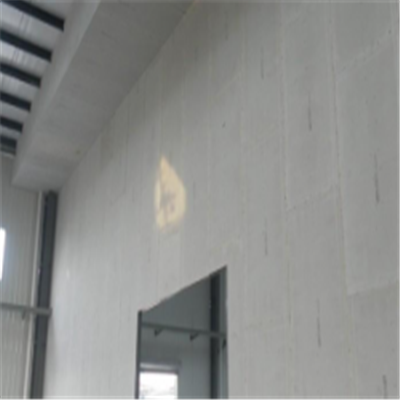 崂山新型建筑材料掺多种工业废渣的ALC|ACC|FPS模块板材轻质隔墙板